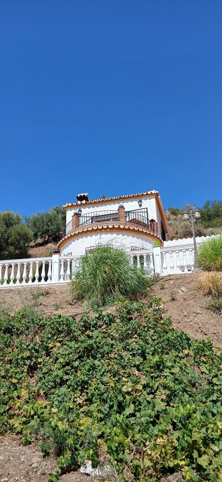 Property main view 81