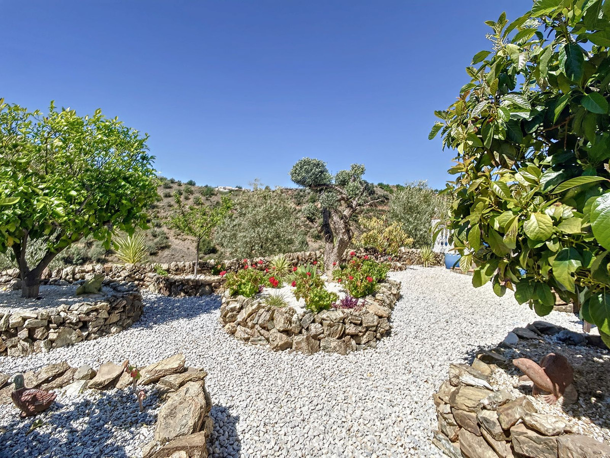 Finca - Cortijo in Sedella-29