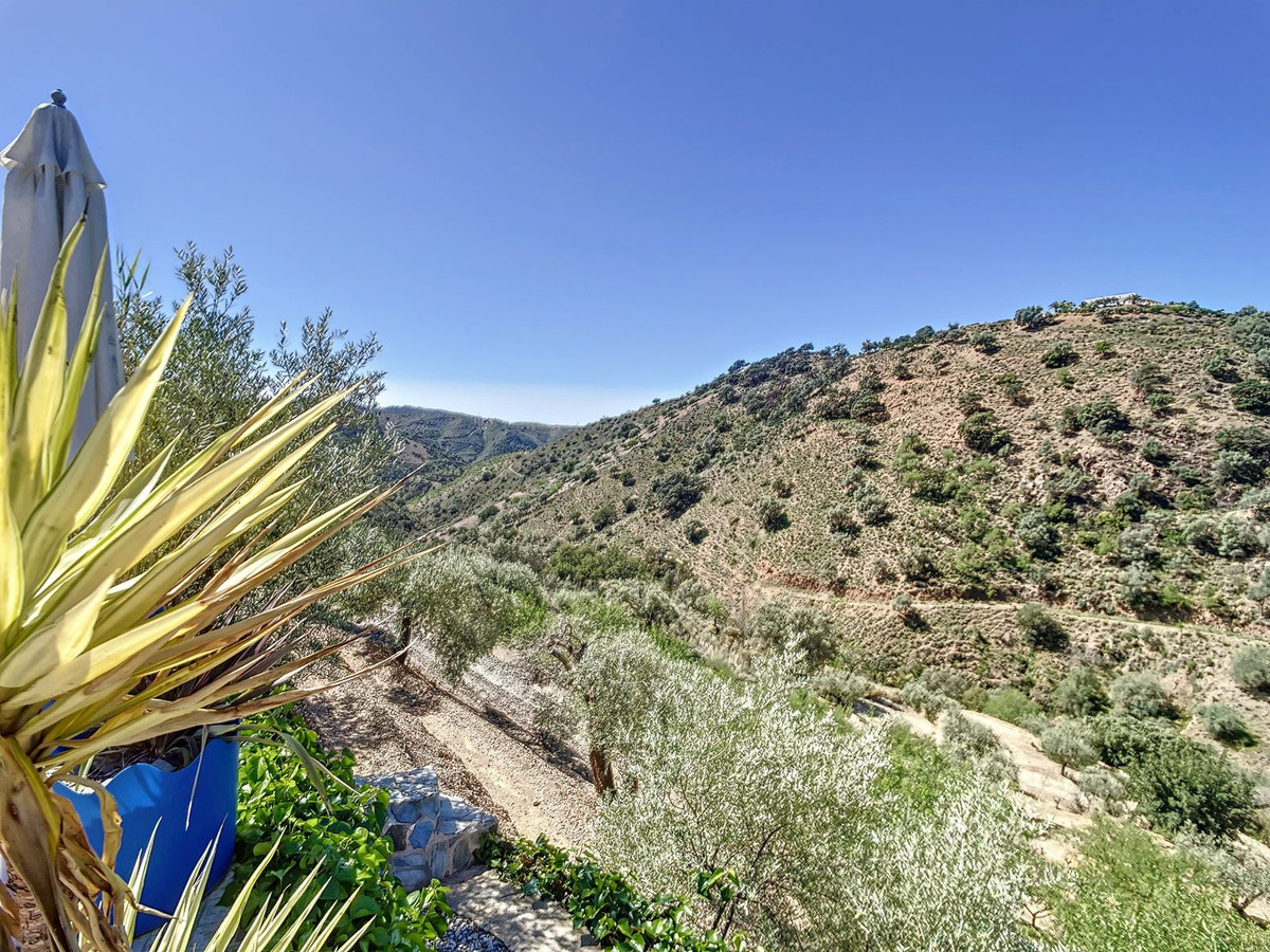 Finca - Cortijo in Sedella-30