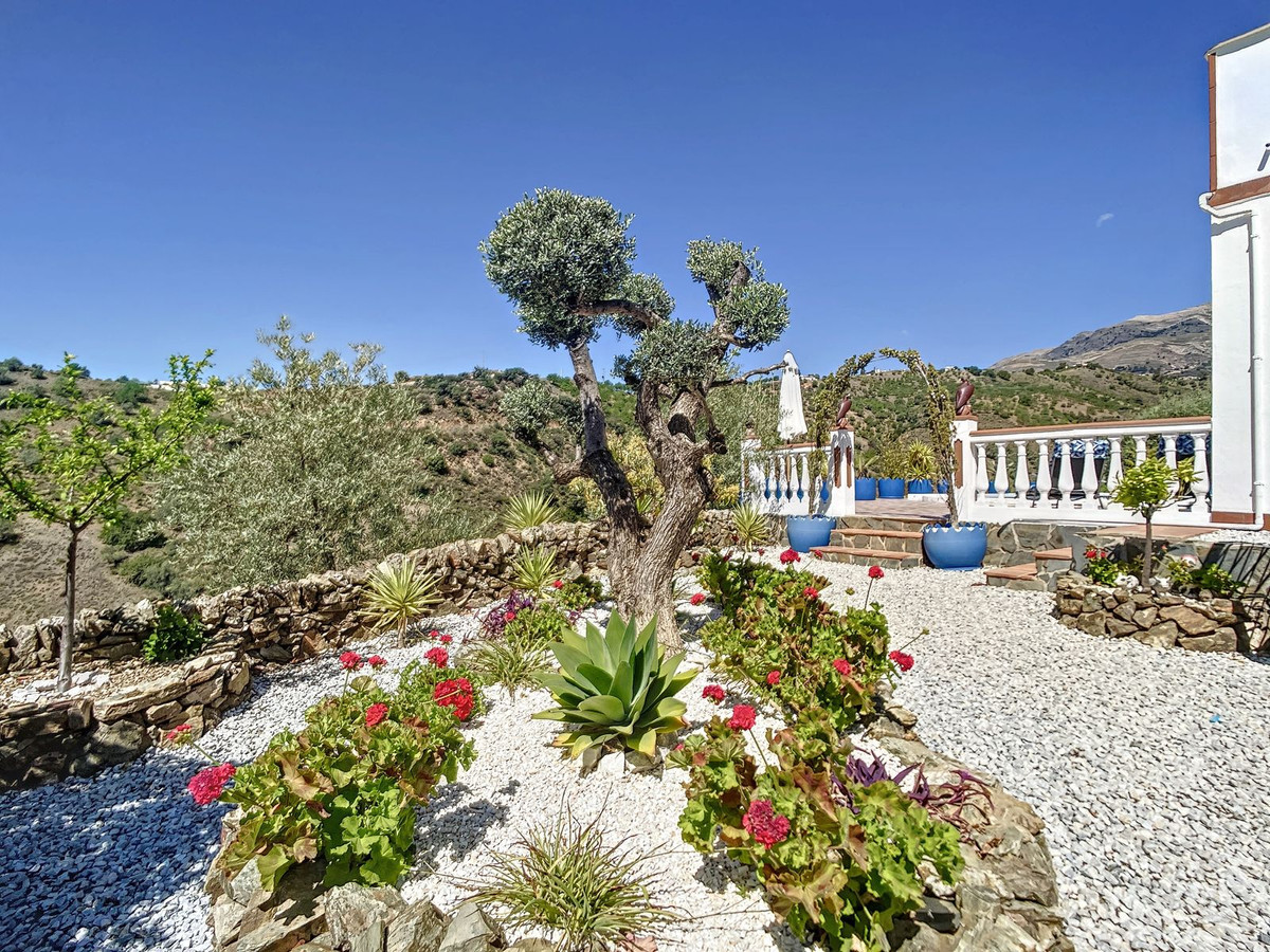 Finca - Cortijo in Sedella-5