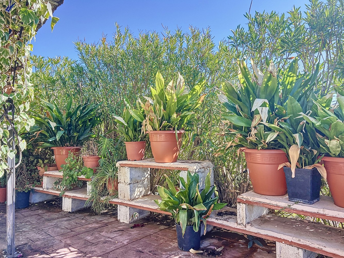 Huis te koop in Sedella | 3 slaapkamers H5058814
