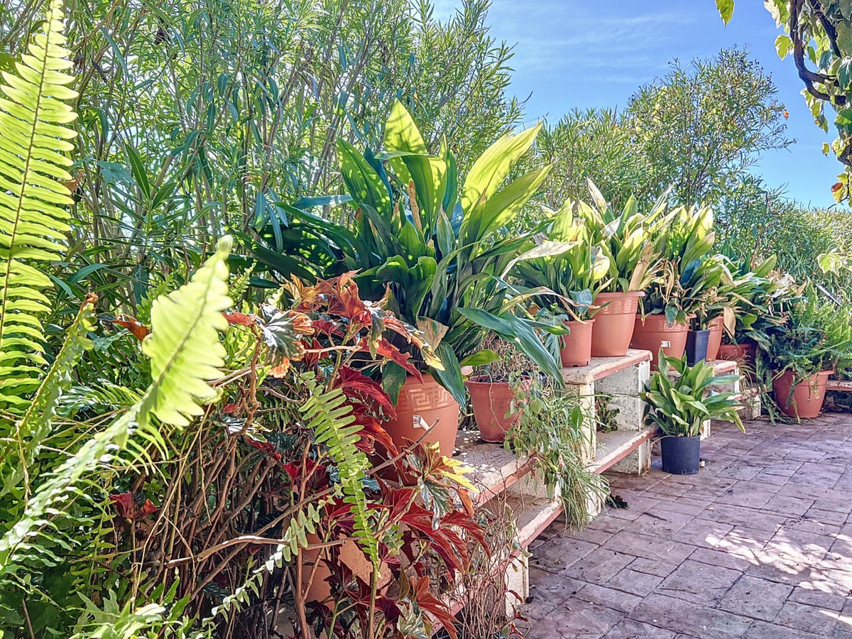 Huis te koop in Sedella | 3 slaapkamers H5058814