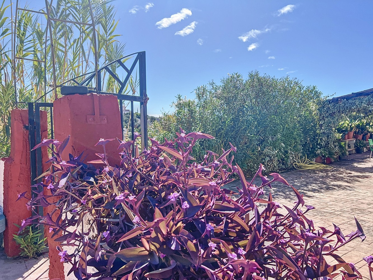 Huis te koop in Sedella | 3 slaapkamers H5058814