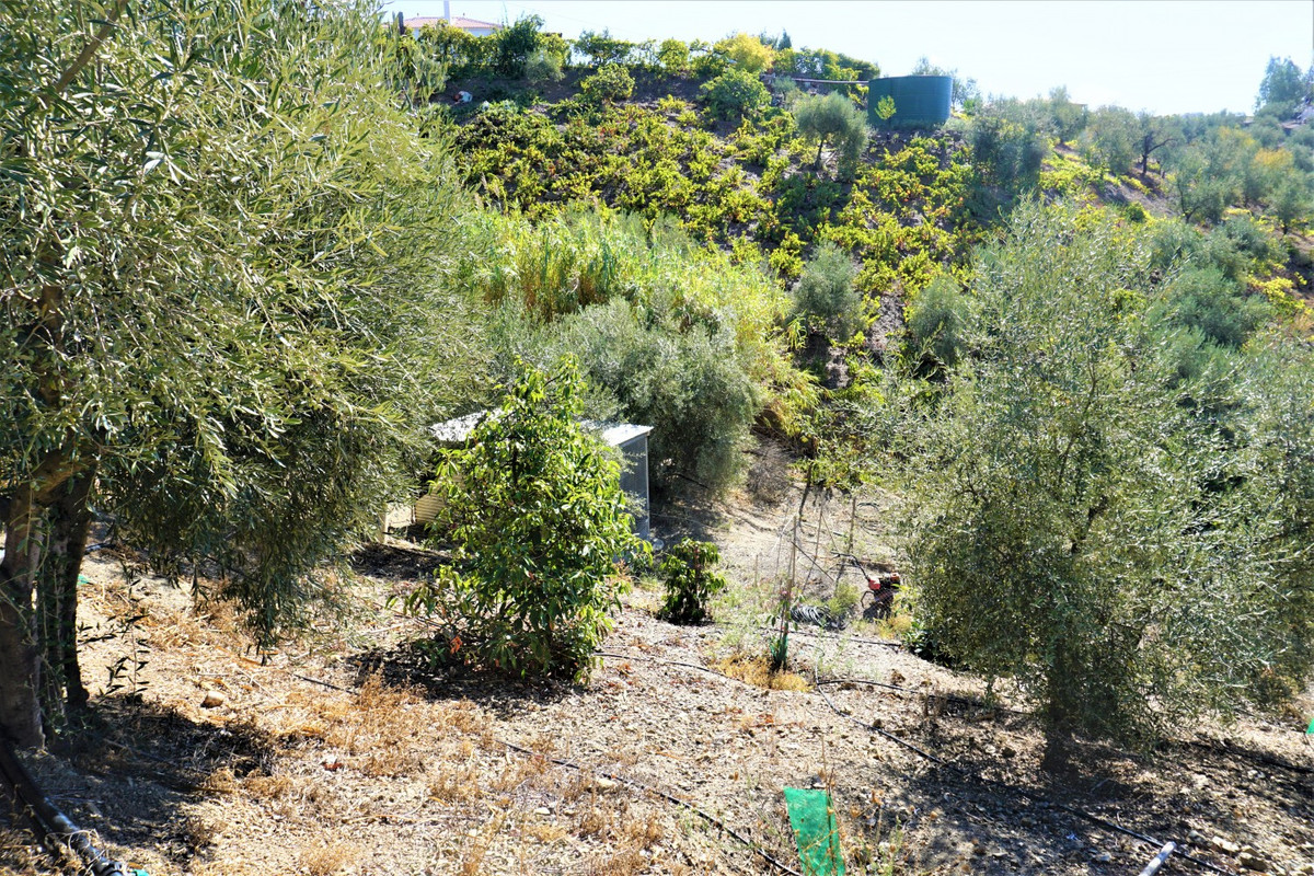 Property main view 24