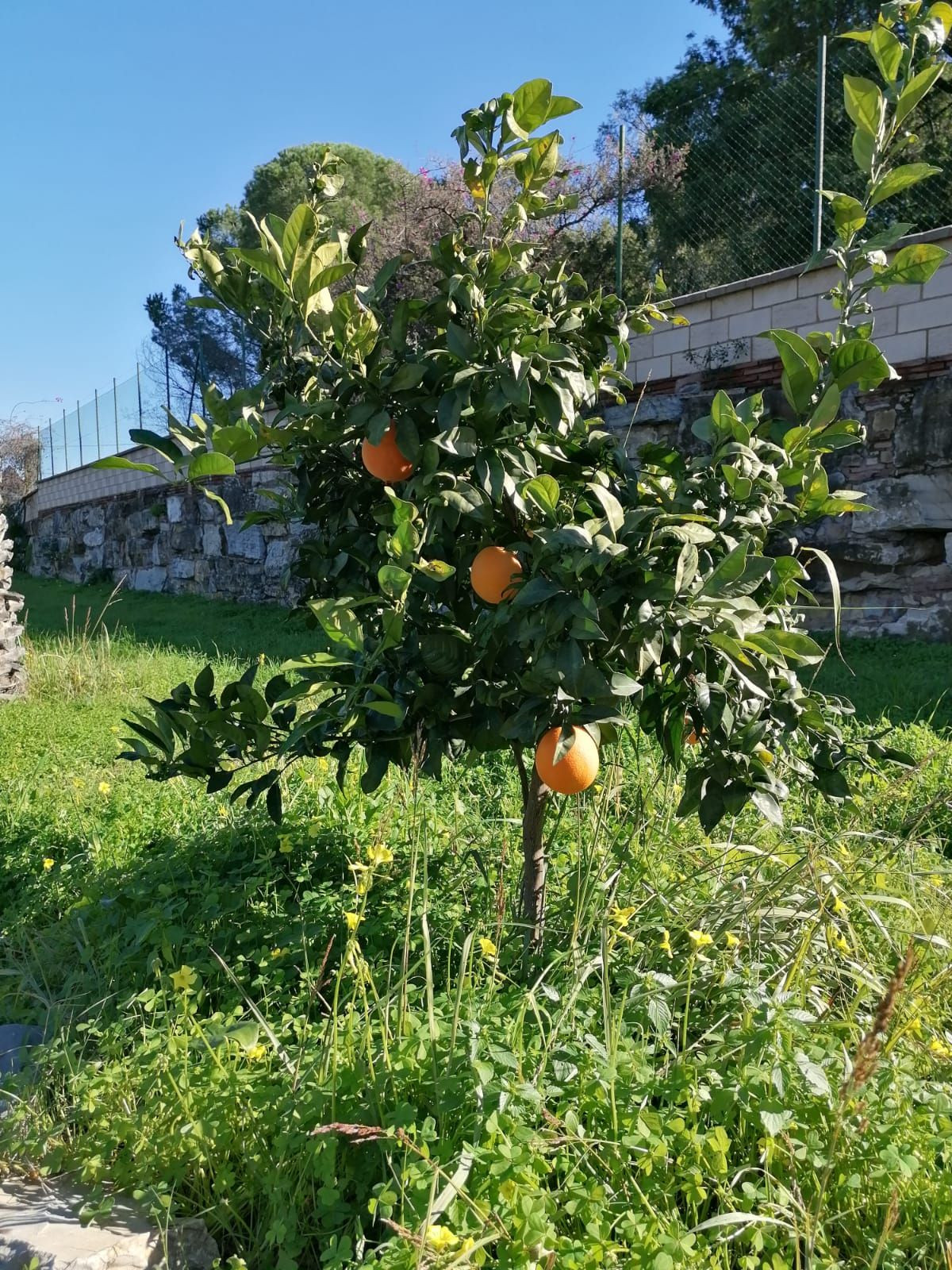 Vrijstaande Villa te koop in Selwo | 4 slaapkamers H4961548