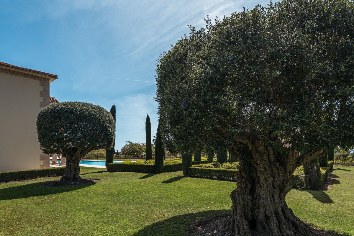 Vrijstaande Villa in Sierra Blanca-12