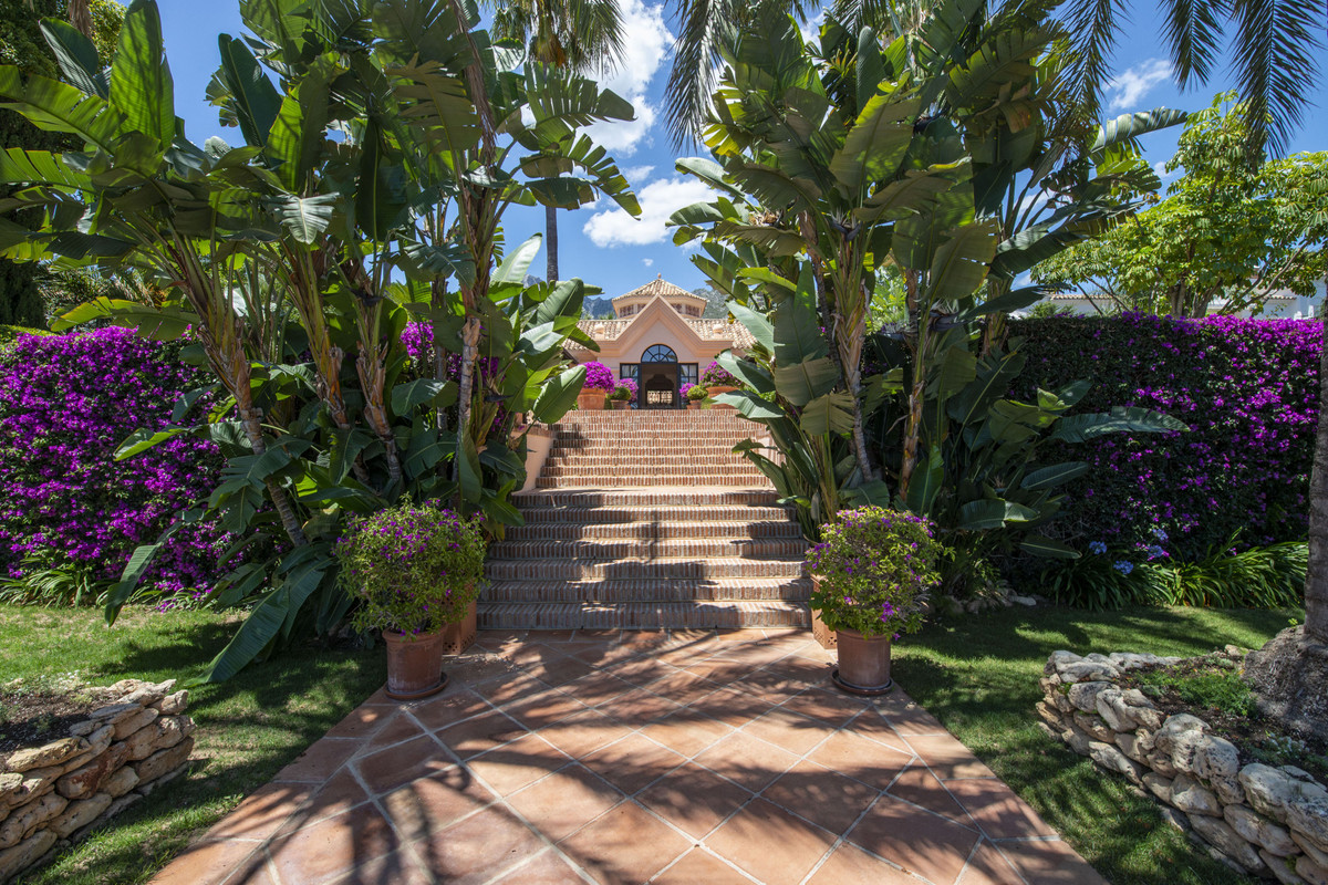 Property main view 11