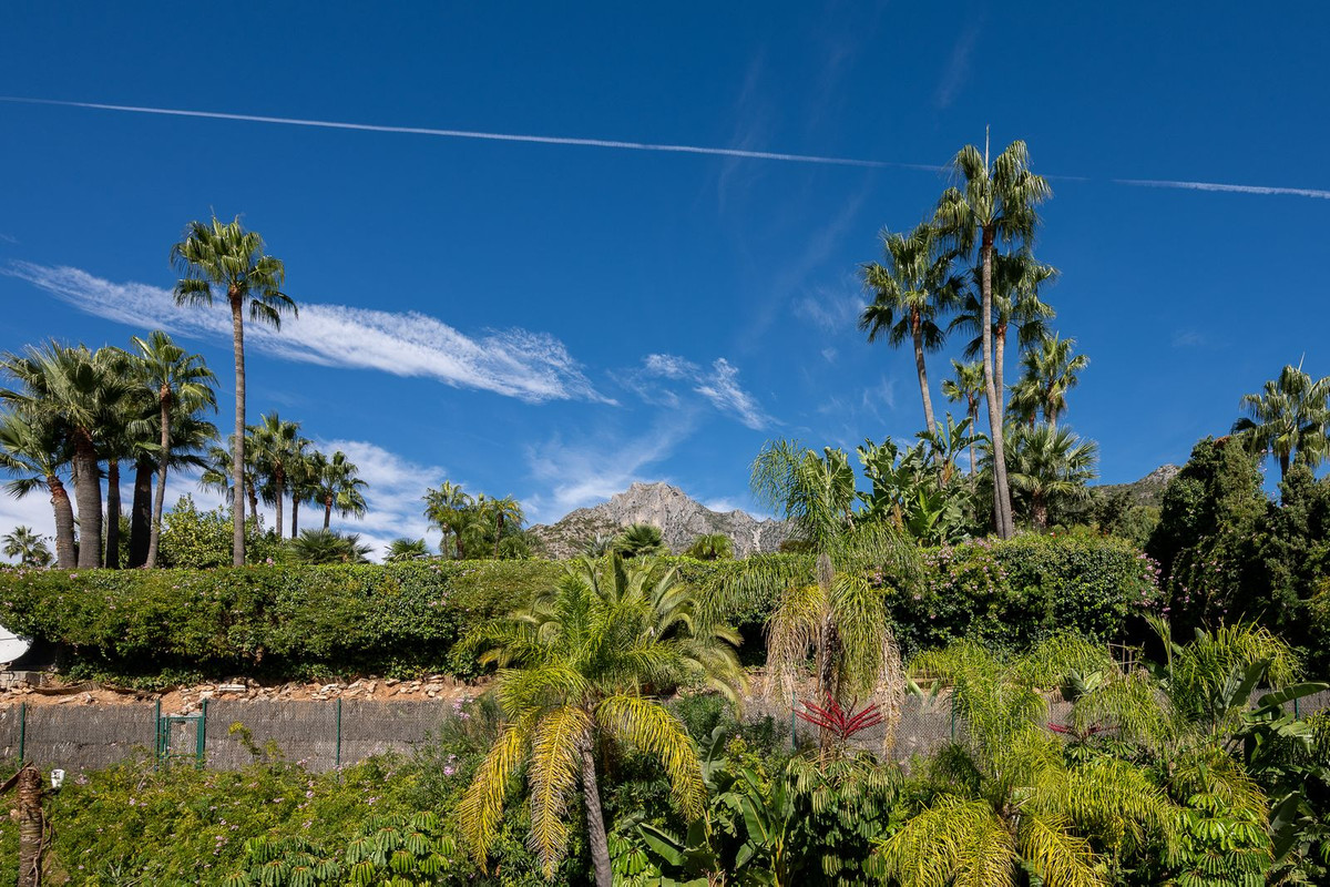 Property main view 38
