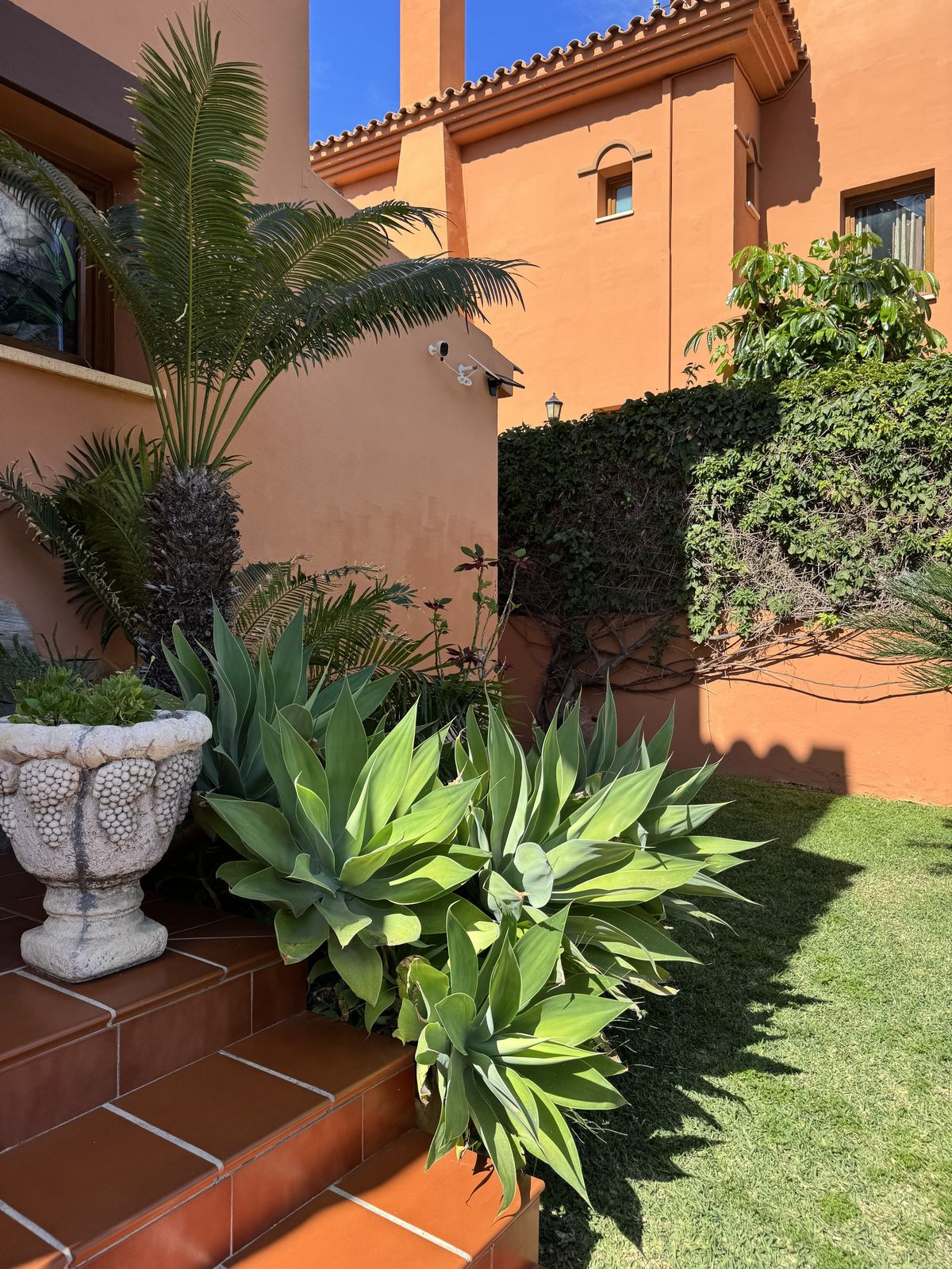 Huis te koop in Sierrezuela | 5 slaapkamers H5041201