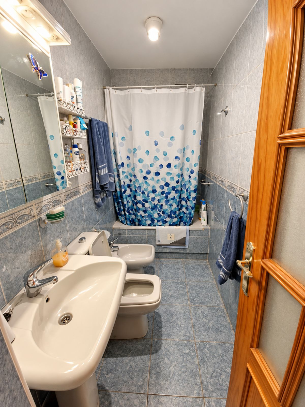 Property main view 11