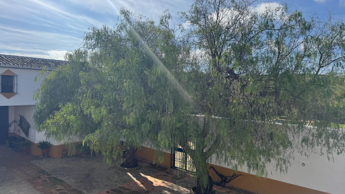 Property main view 11