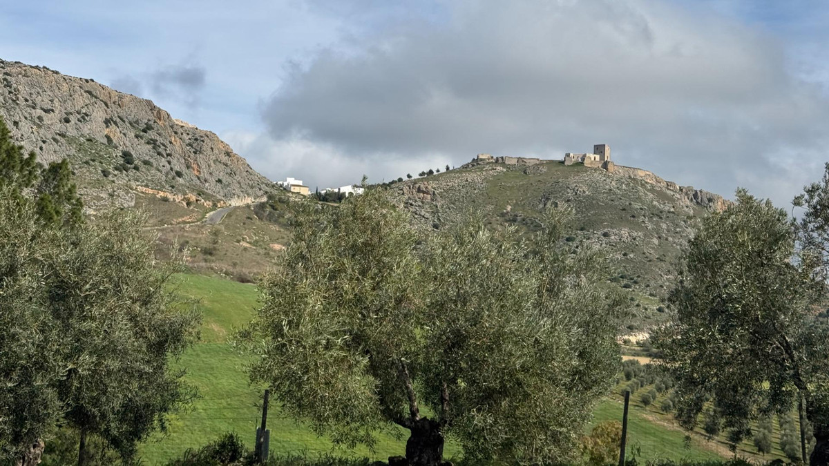 Property main view 42