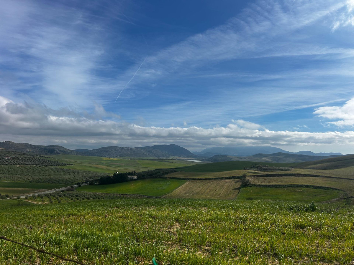 Property main view 43