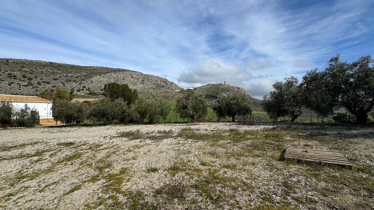 Property main view 5