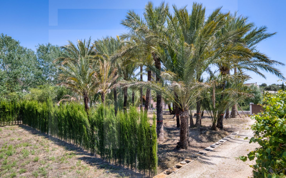 Property main view 16