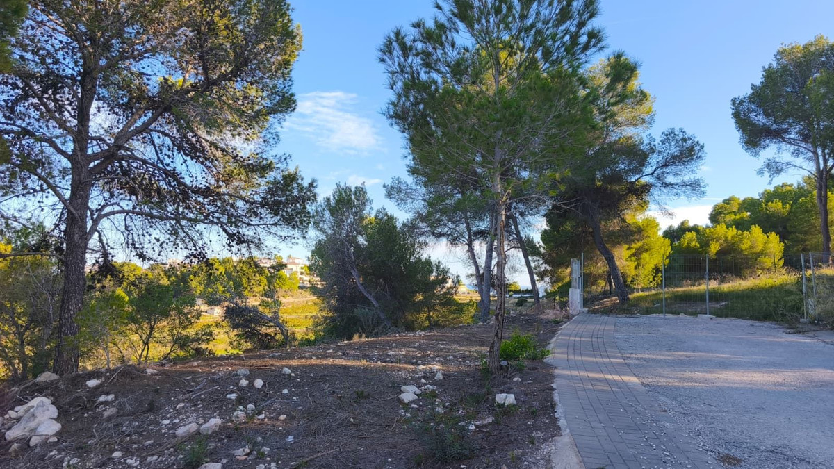 Property main view 2