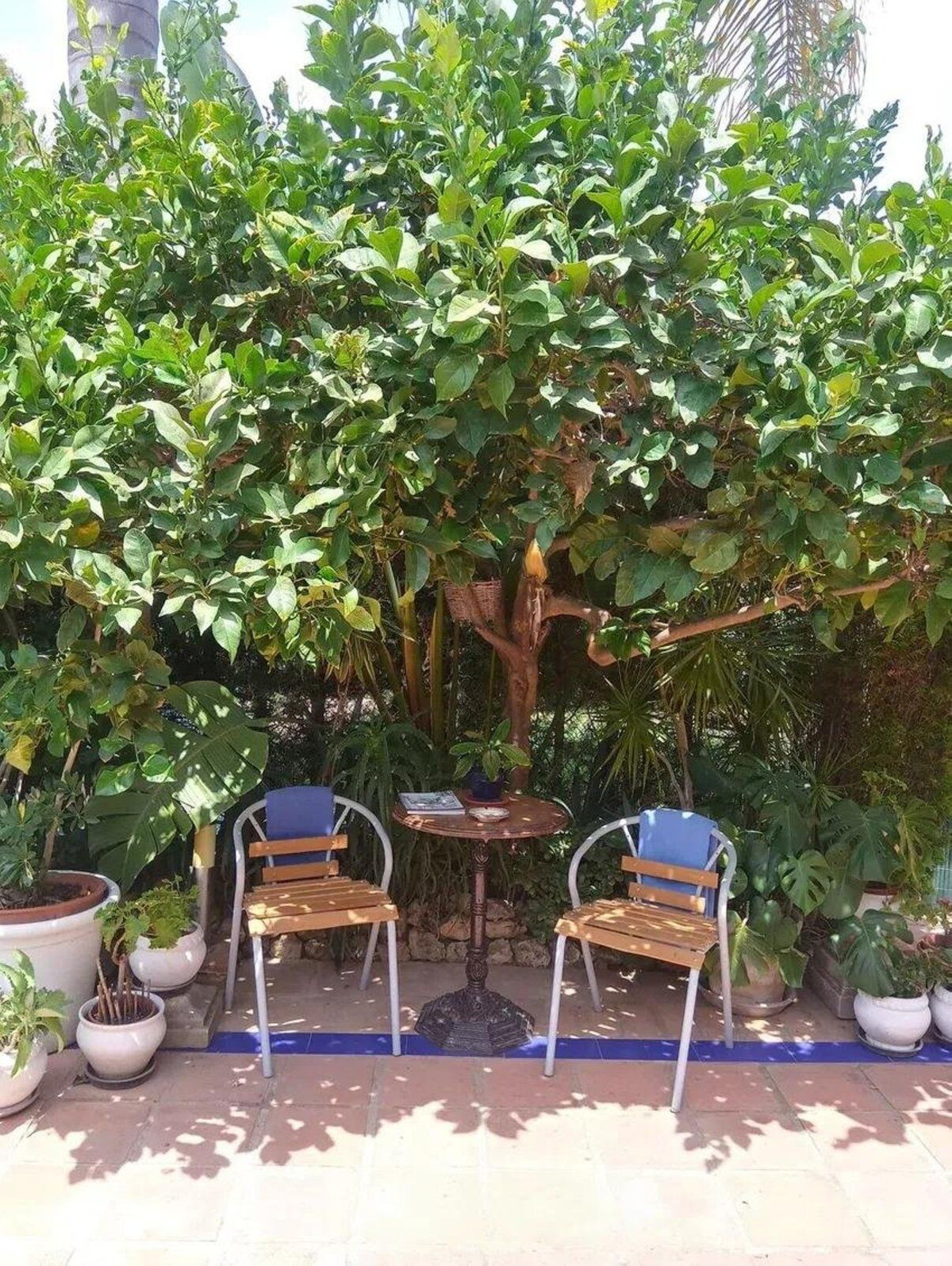 Property main view 7