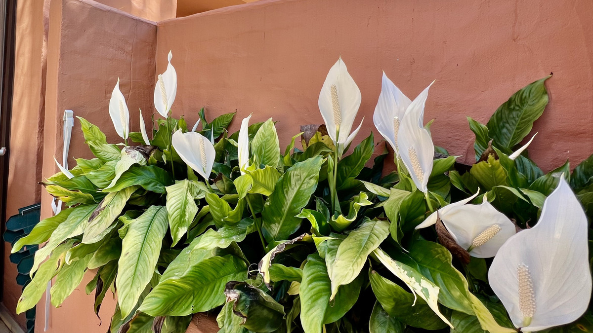 Property main view 46