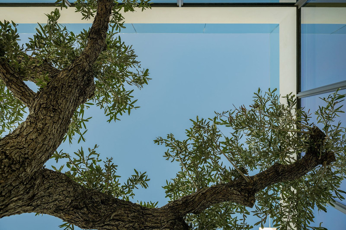 Property main view 31