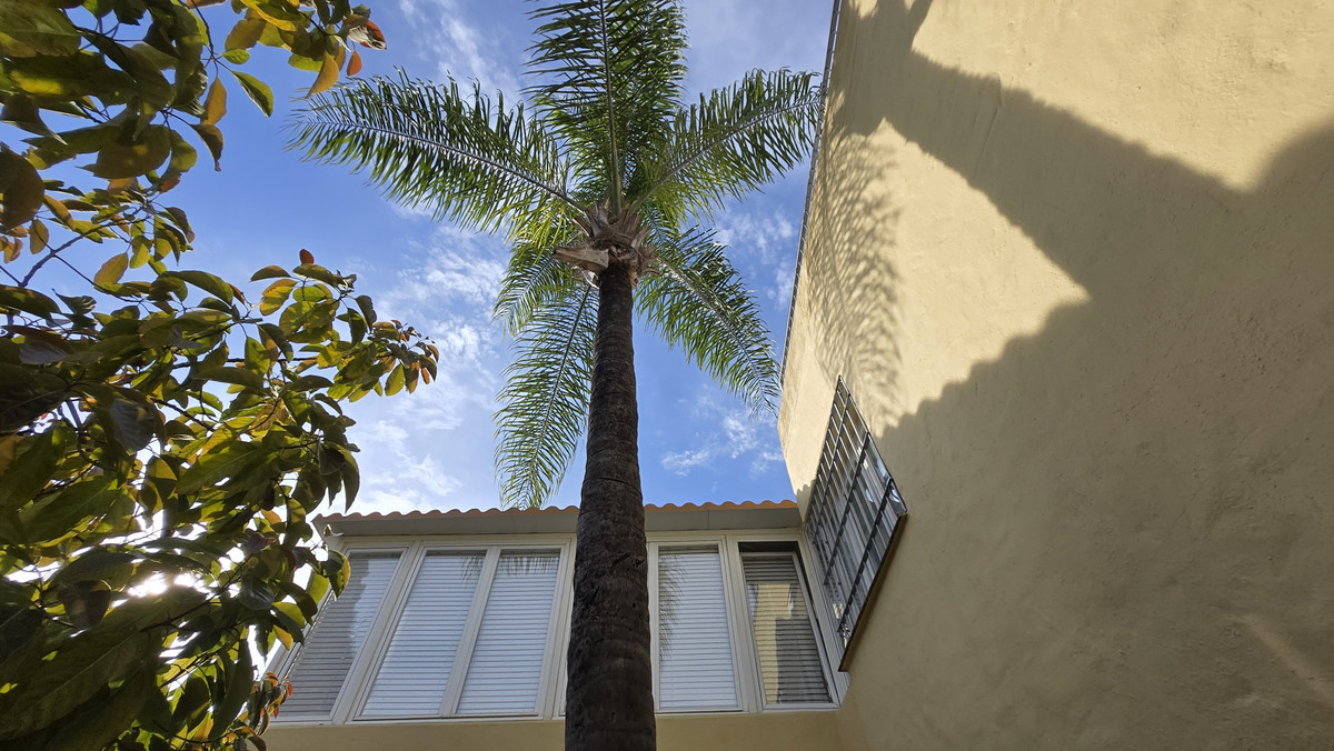 Huis te koop in The Golden Mile | 3 slaapkamers H5407459