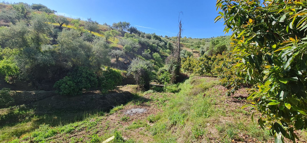 Property main view 14