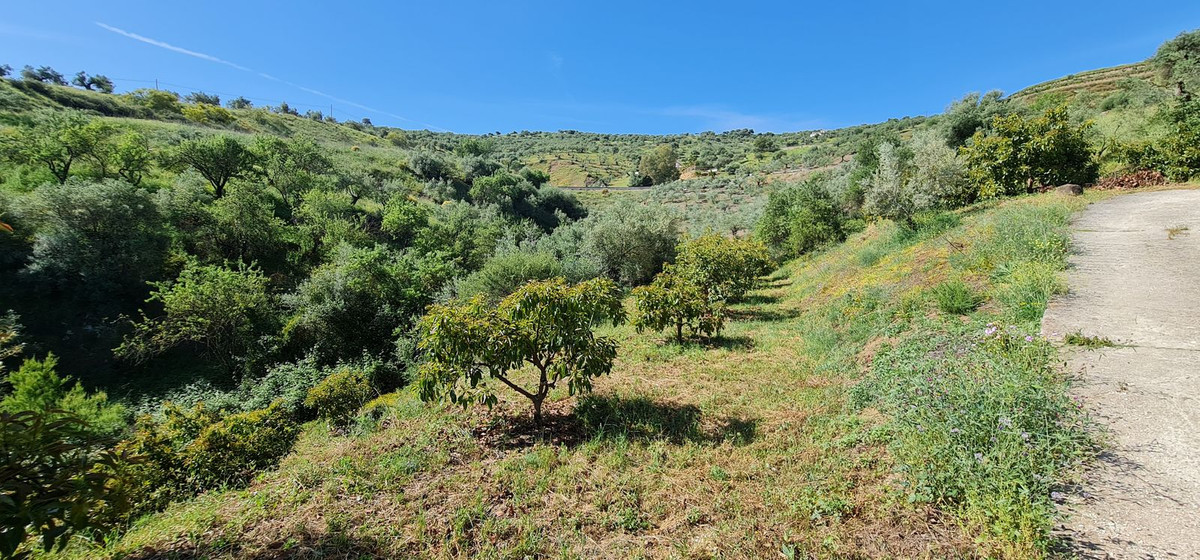 Property main view 16