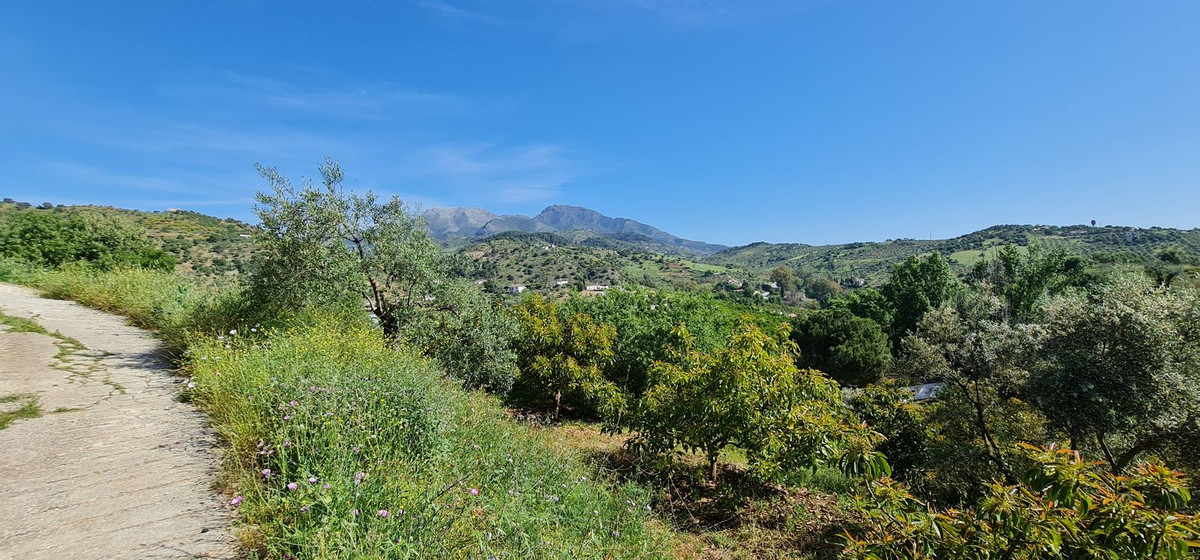 Property main view 18