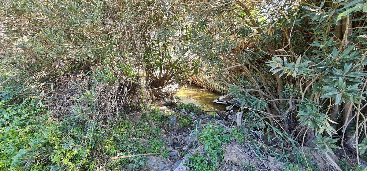 Property main view 22