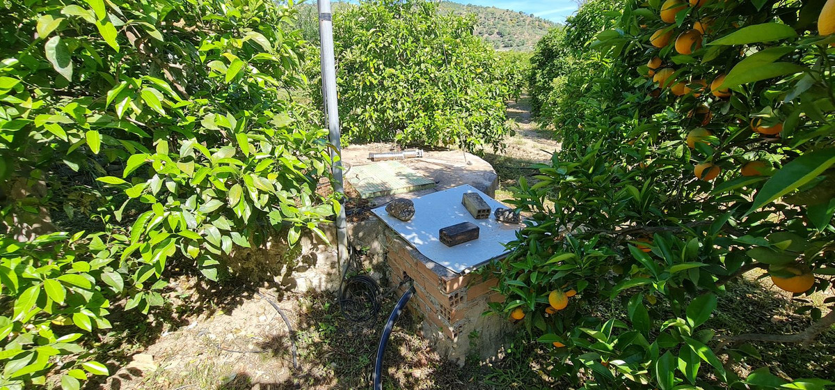 Property main view 23