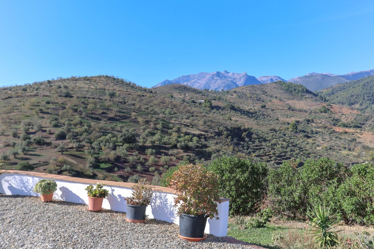 Property main view 50