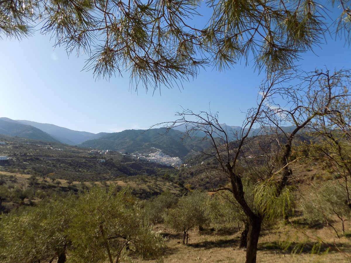 Property main view 11