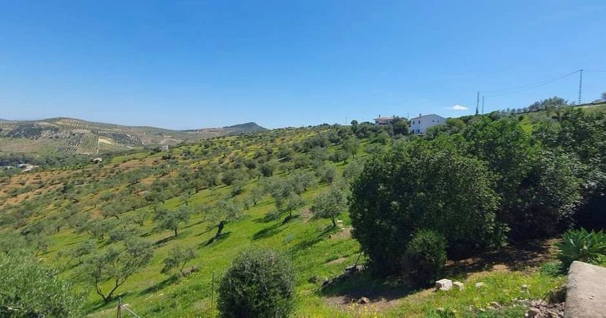 Finca - Cortijo in Tolox-4