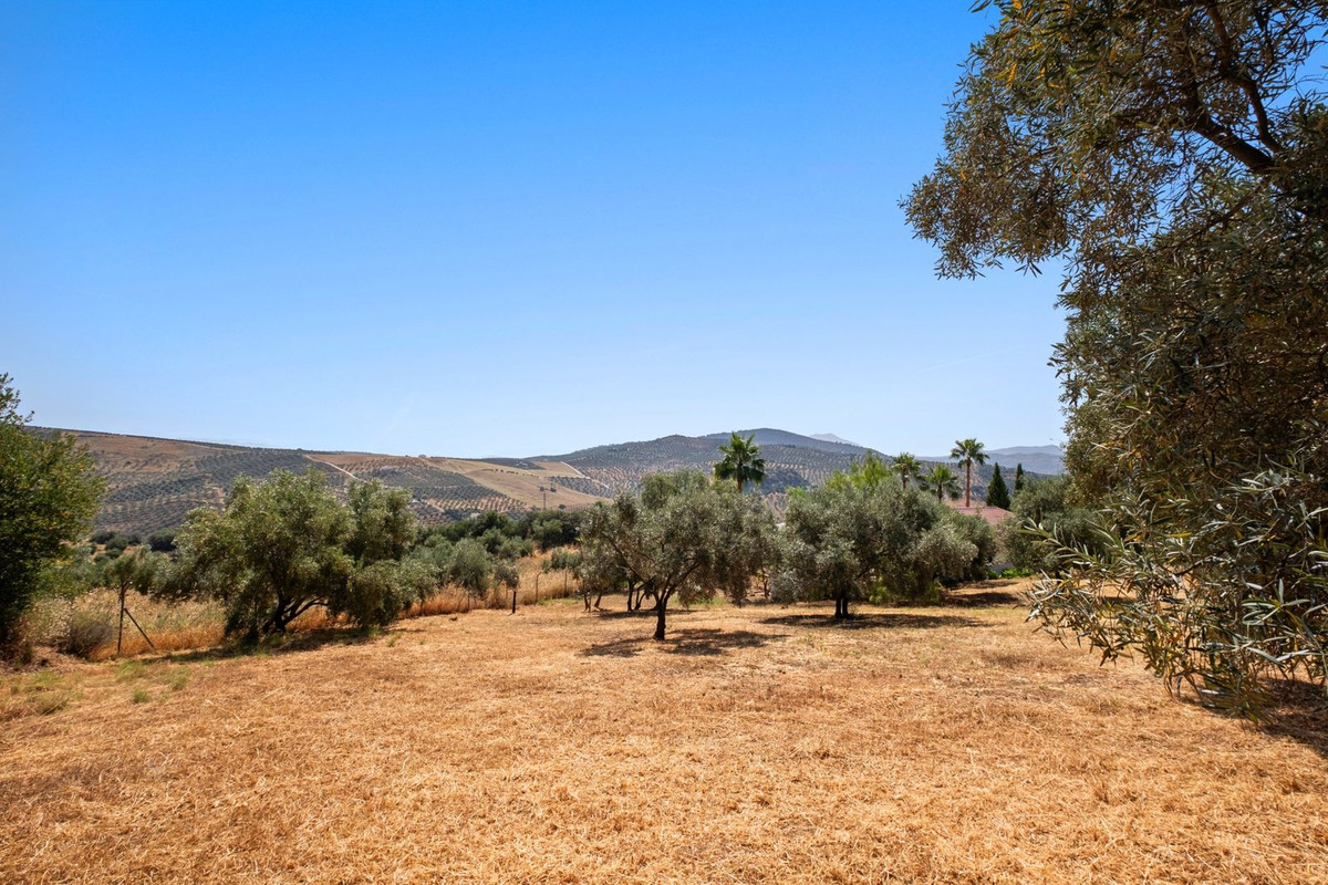 Finca - Cortijo te koop in Tolox | 3 slaapkamers H5073124