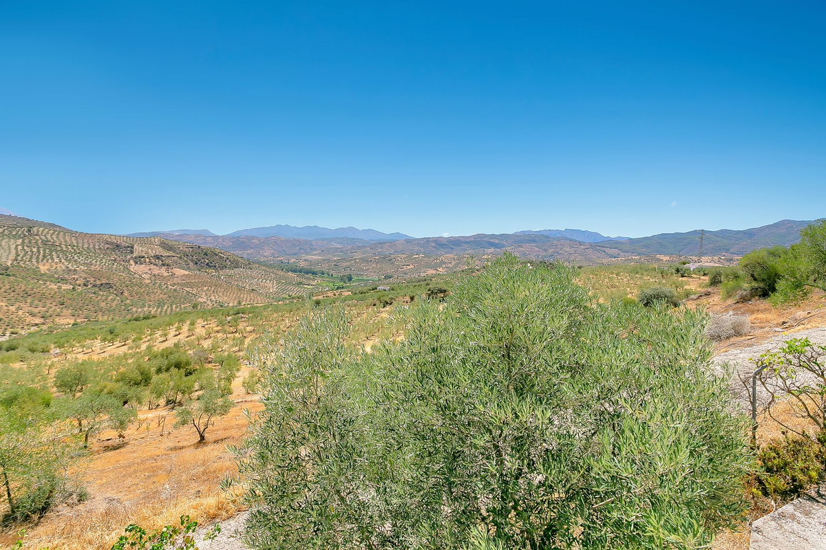 Finca - Cortijo te koop in Tolox | 3 slaapkamers H5073124