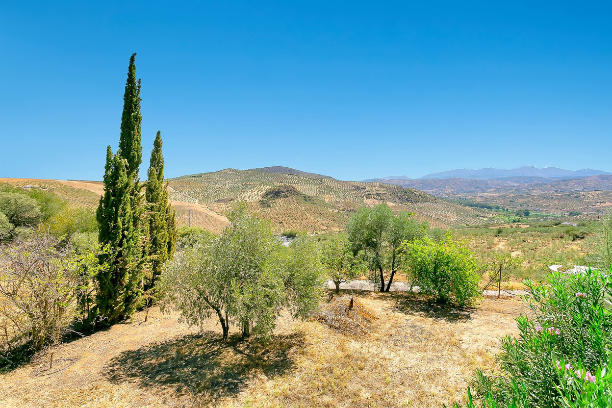 Finca - Cortijo te koop in Tolox | 3 slaapkamers H5073124