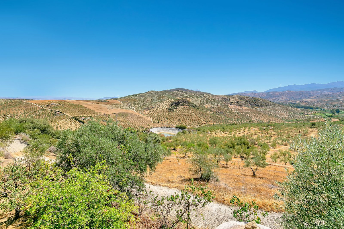 Finca - Cortijo te koop in Tolox | 3 slaapkamers H5073124