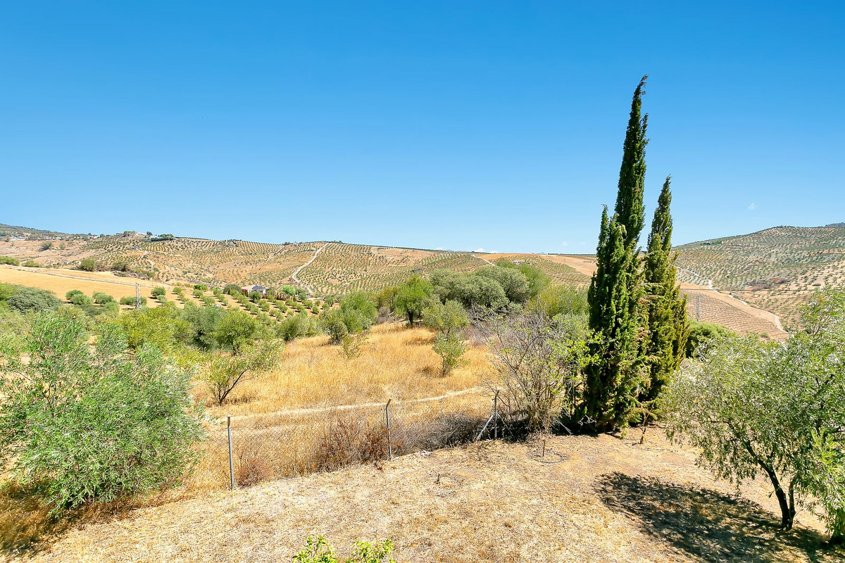 Finca - Cortijo te koop in Tolox | 3 slaapkamers H5073124
