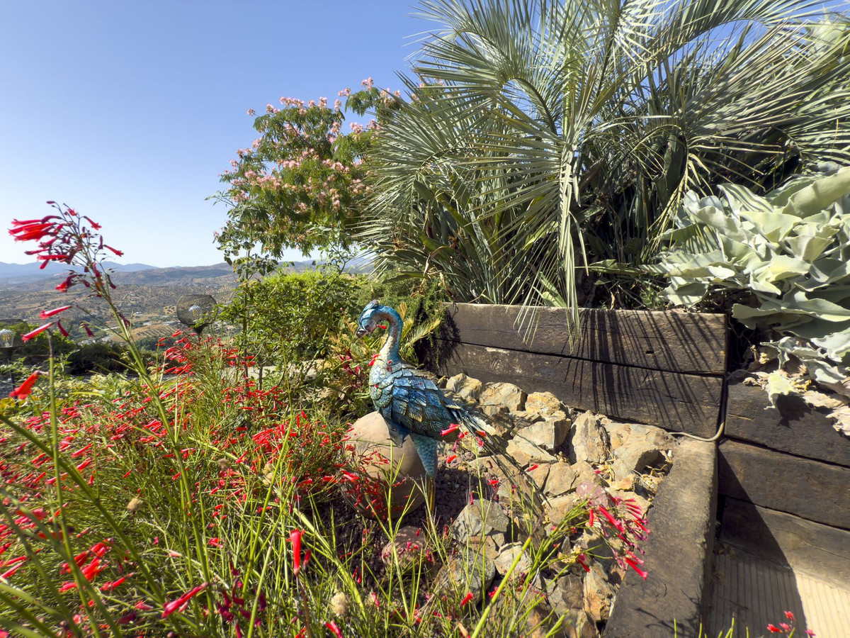 Finca - Cortijo te koop in Tolox | 3 slaapkamers H5081440