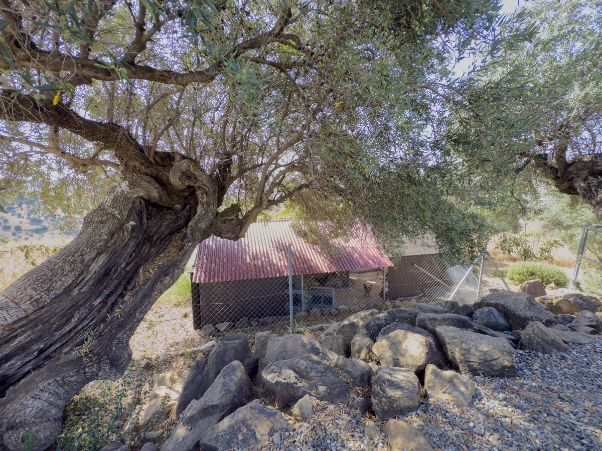 Finca - Cortijo te koop in Tolox | 3 slaapkamers H5081440