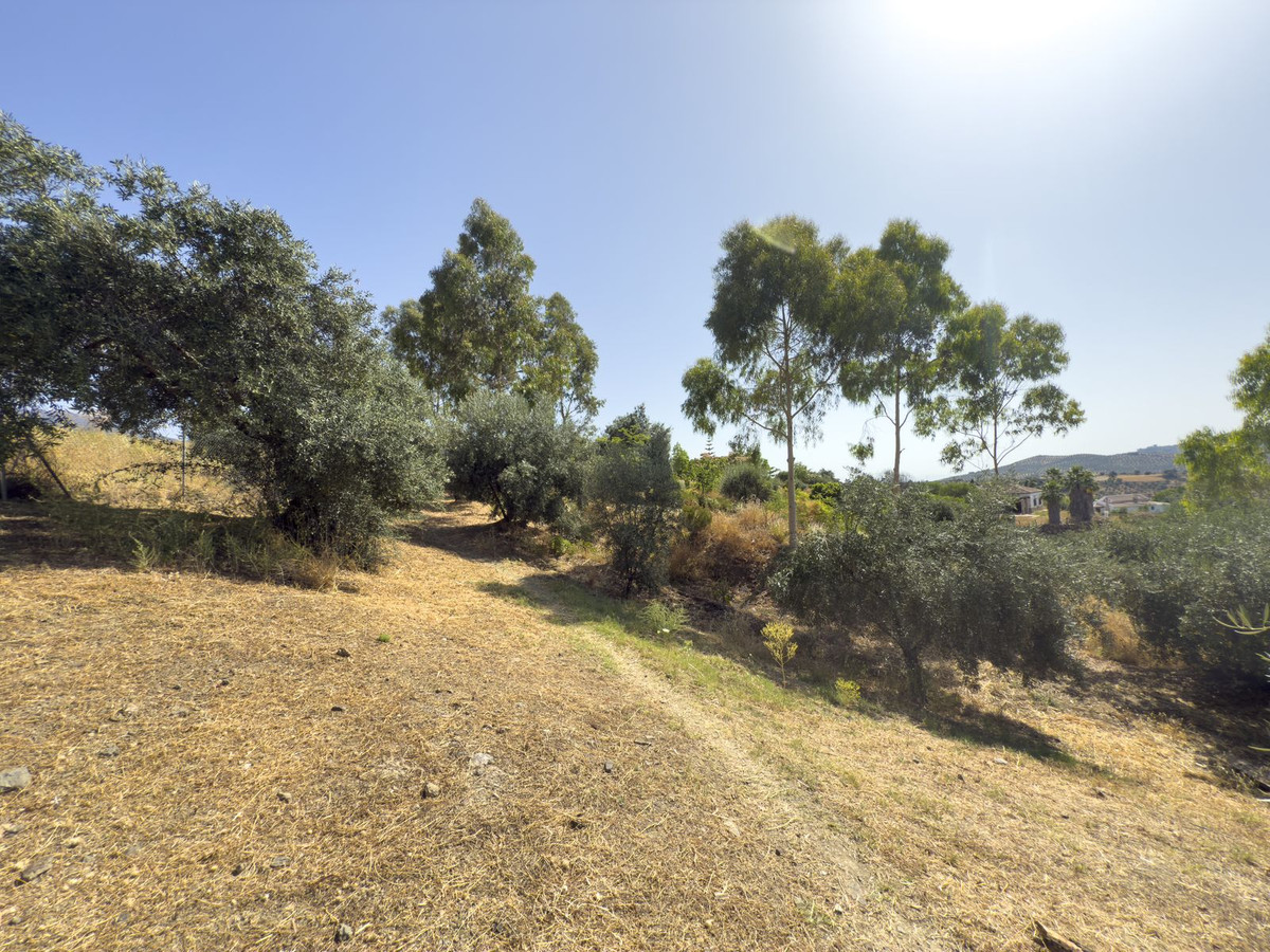 Finca - Cortijo te koop in Tolox | 3 slaapkamers H5081440