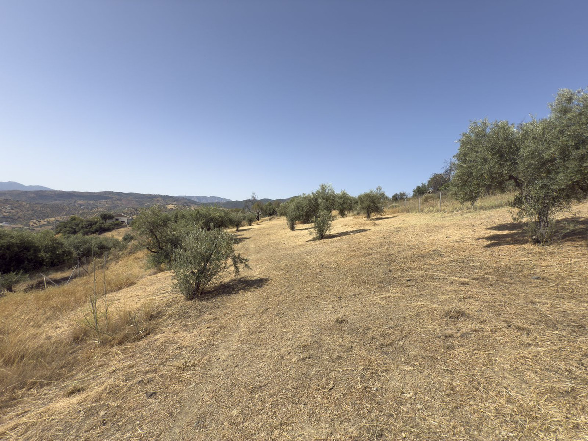 Finca - Cortijo te koop in Tolox | 3 slaapkamers H5081440