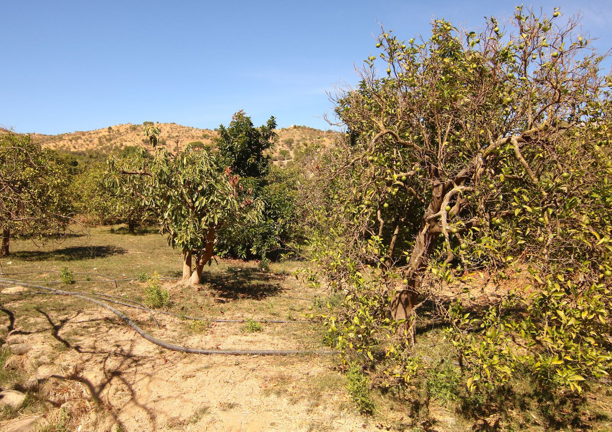 Finca - Cortijo te koop in Tolox | 2 slaapkamers H5191930