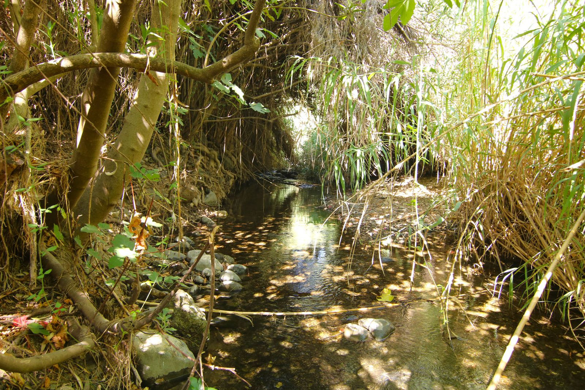 Finca - Cortijo te koop in Tolox | 2 slaapkamers H5191930