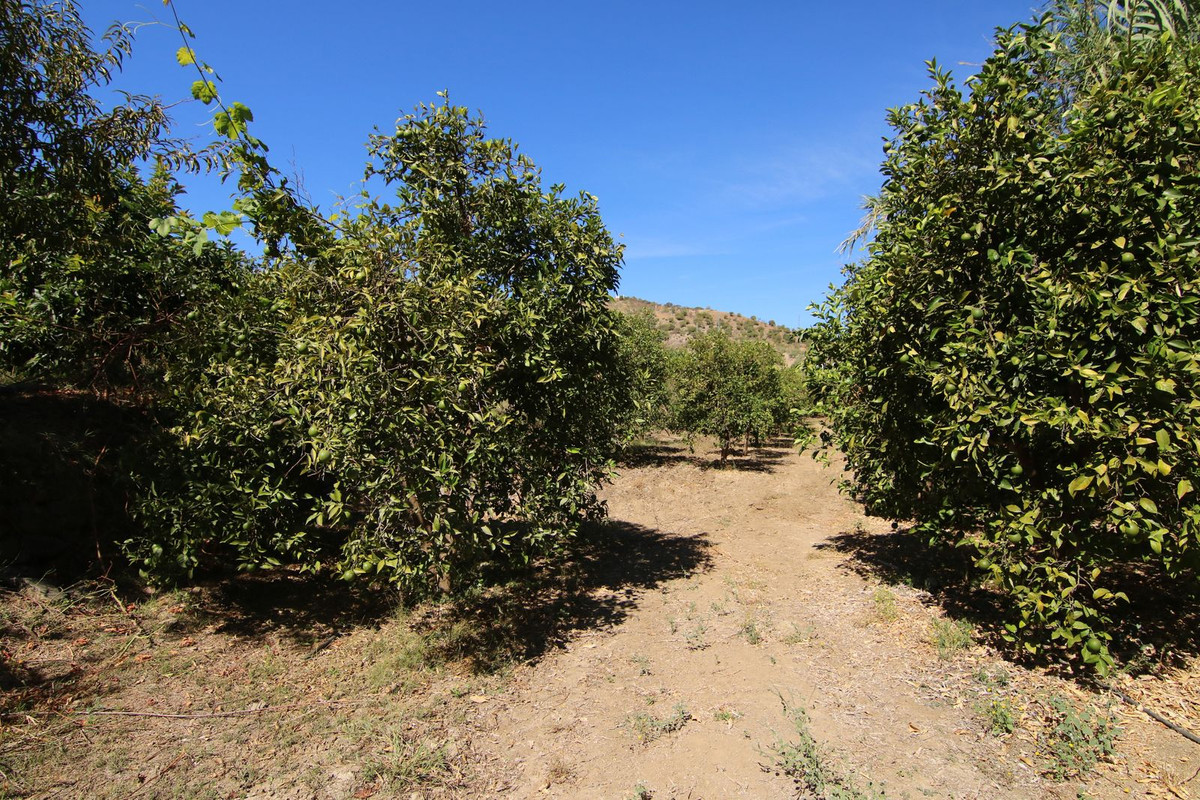 Finca - Cortijo te koop in Tolox | 2 slaapkamers H5191930