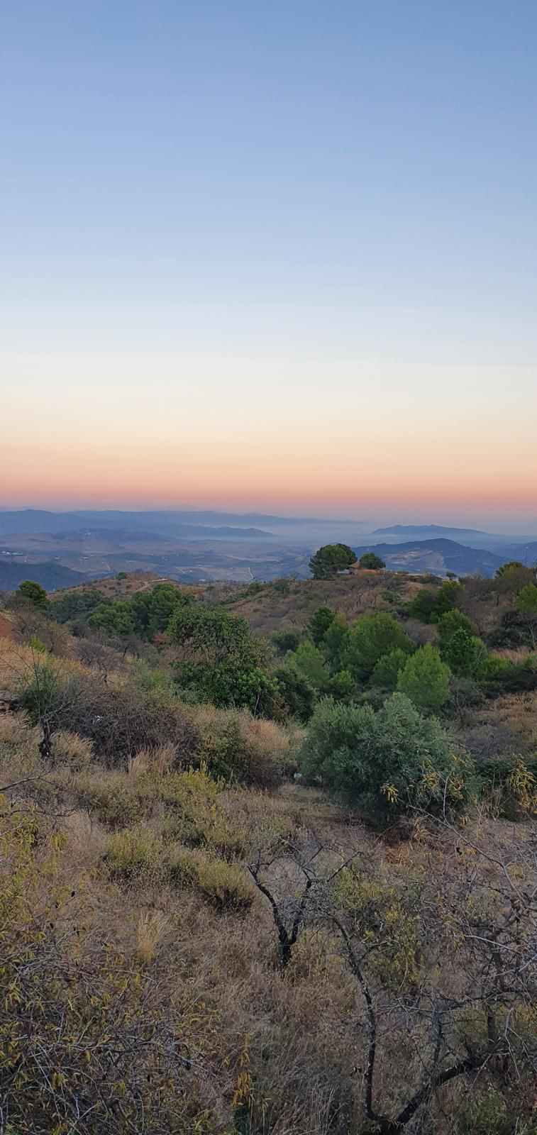 Finca - Cortijo te koop in Tolox | 4 slaapkamers H5349370