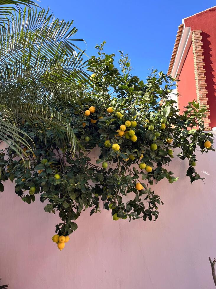 Property main view 5