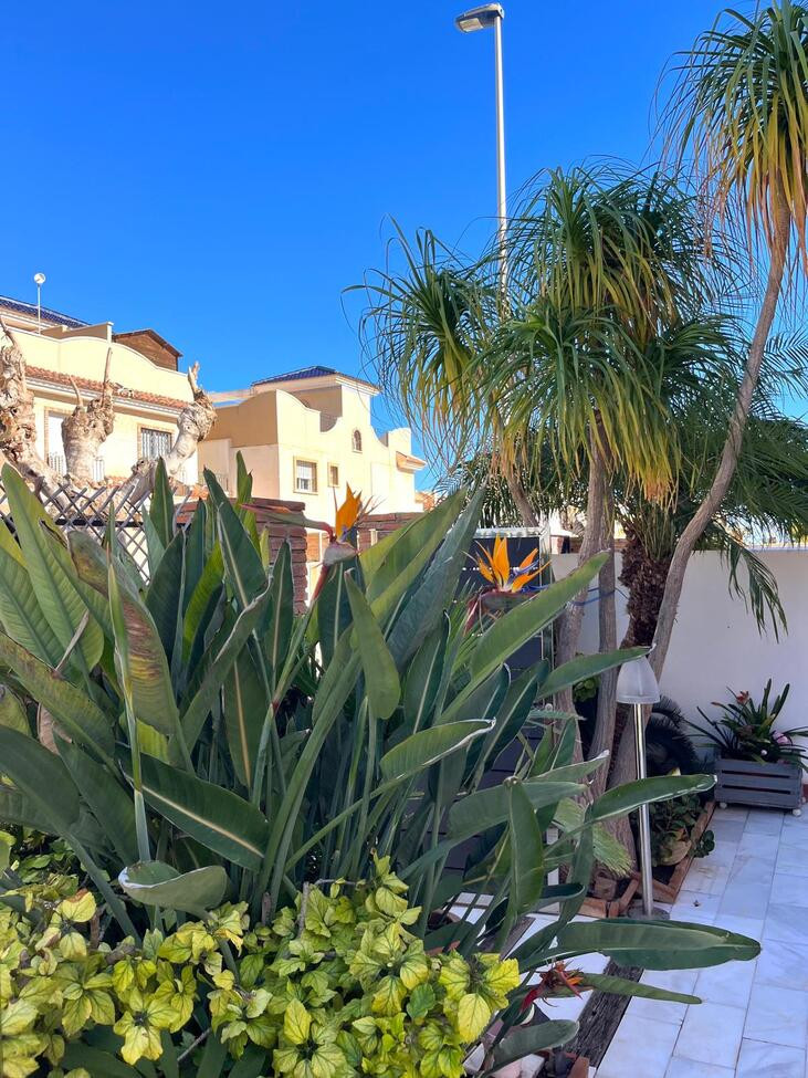 Property main view 4