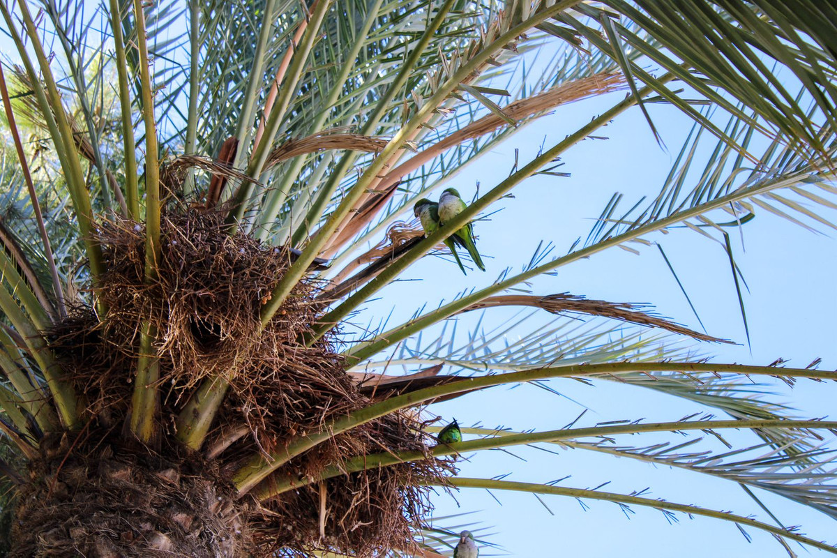 Huis te koop in Torre del Mar | 1 slaapkamers H5249182