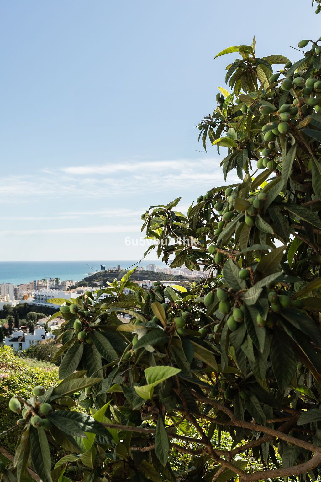 Huis te koop in Torreblanca | 4 slaapkamers H5343934