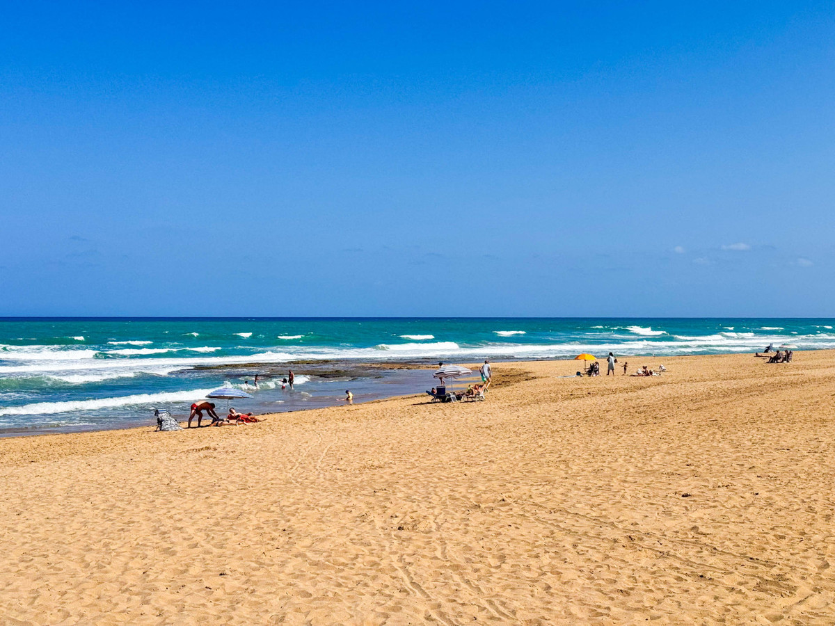 Appartement te koop in Torrelamata | 0 slaapkamers H5295574